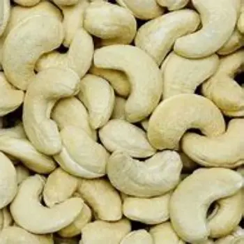 Fresh W240 Cashew Nuts